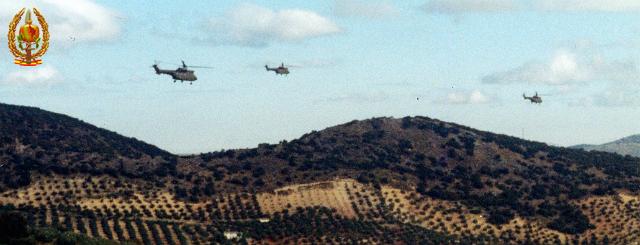Maniobras y Guerrillas077.jpg